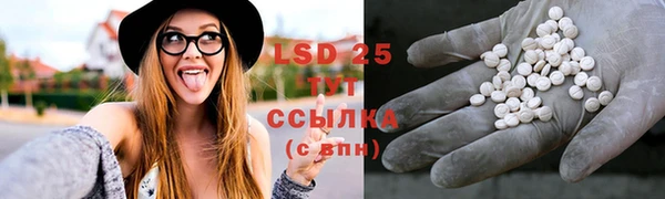 молекула духа Сосновый Бор